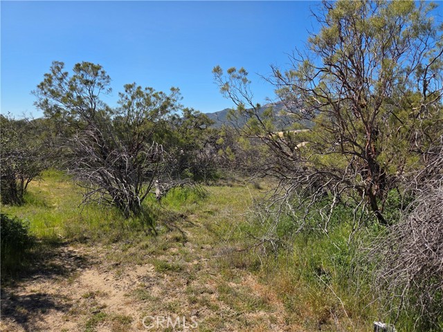 Detail Gallery Image 3 of 14 For 0 Pony Trail, Anza,  CA 92539 - – Beds | – Baths