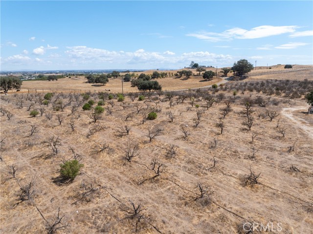 27 Wellsona Road, Paso Robles CA: https://media.crmls.org/medias/f5afb197-2b03-4245-b1fb-6b81f5064693.jpg