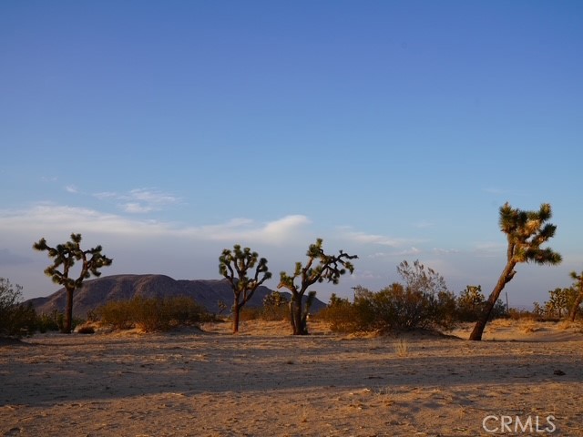 1001 Gibralter Road, Landers CA: https://media.crmls.org/medias/f5b1362b-b8f9-4012-80a9-06b426533041.jpg
