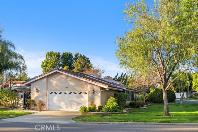 Front Image Thumbnail for CROC26049212