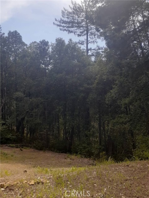 Detail Gallery Image 50 of 58 For 38160 Ocean Ridge Dr, Gualala,  CA 95445 - – Beds | – Baths