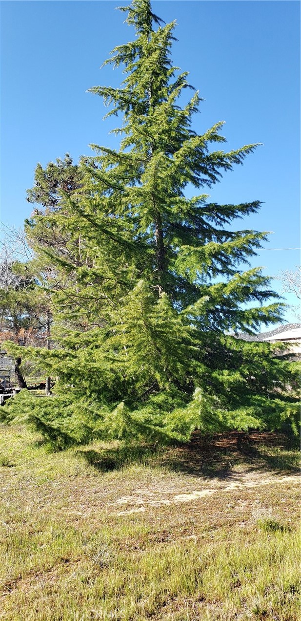 Detail Gallery Image 74 of 74 For 57745 Bailey, Anza,  CA 92539 - 3 Beds | 2 Baths