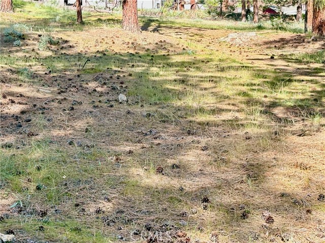 Image 21 of 54 For 0 S Lang Way