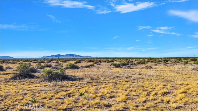 0 Avenue O, Palmdale, California 93591, ,Land,For Sale,0 Avenue O,CRHD23194278