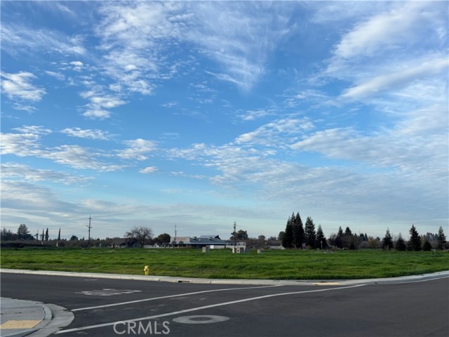 698 Hambright (Corner Hwy 32) Avenue, Orland CA: https://media.crmls.org/medias/f5d46f78-a3b8-4822-aecc-ac7e07420f31.jpg