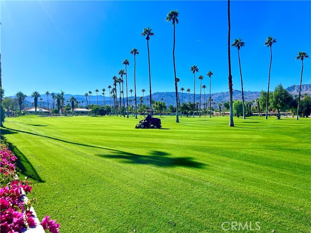 Detail Gallery Image 39 of 42 For 46125 Burroweed Ln., Palm Desert,  CA 92260 - 2 Beds | 2/1 Baths