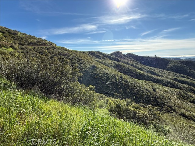 Detail Gallery Image 8 of 21 For 28292 Williams Canyon Rd, Silverado,  CA 92676 - – Beds | – Baths