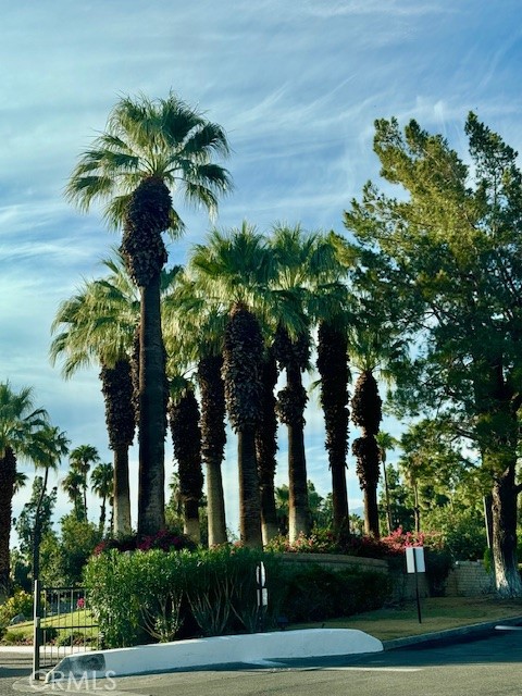 Detail Gallery Image 65 of 75 For 2810 N Arcadia Ct #208,  Palm Springs,  CA 92262 - 1 Beds | 1 Baths