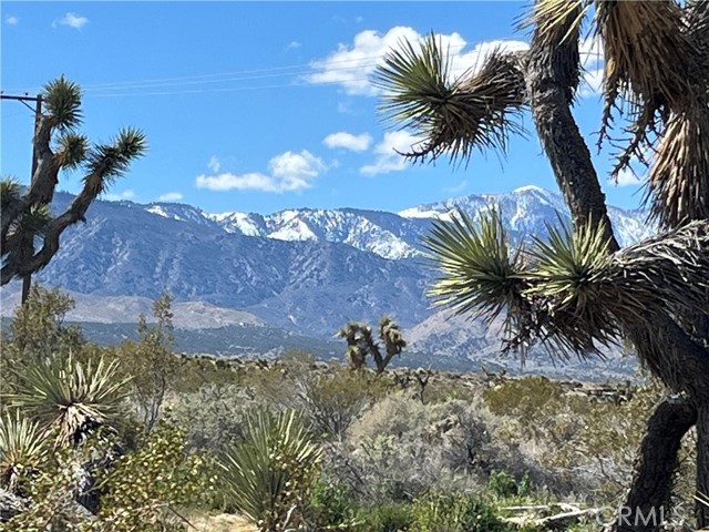 Detail Gallery Image 7 of 12 For 13275 County  Line St, Pinon Hills,  CA 92372 - – Beds | – Baths