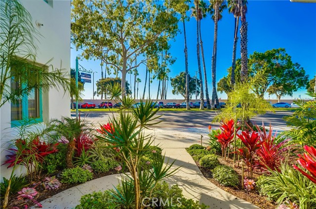 14 Park Avenue, Long Beach CA: https://media.crmls.org/medias/f5f7b2fd-d8aa-4567-b20f-5b6d465ca958.jpg