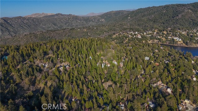 Detail Gallery Image 45 of 45 For 487 Wylerhorn Dr, Crestline,  CA 92325 - 4 Beds | 4 Baths