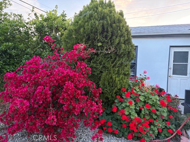 https://media.crmls.org/medias/f5fde1b0-266f-4218-91c9-2e9568730c95.jpg?preset=X-Large
