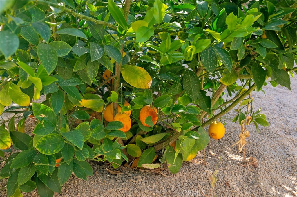 https://media.crmls.org/medias/f6016d63-e8e1-4008-b7c6-94b6a2e84425.jpg?preset=X-Large