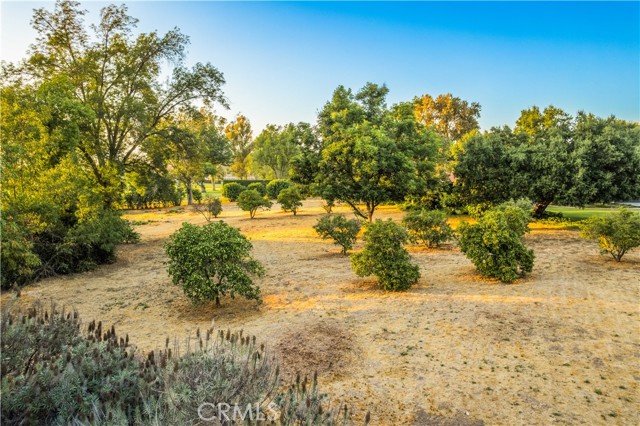 Detail Gallery Image 6 of 48 For 920 S Spring Meadow Dr, West Covina,  CA 91791 - – Beds | – Baths