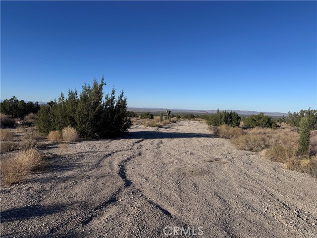 Detail Gallery Image 14 of 15 For 0 Vac/Antelope, Llano,  CA 93544 - – Beds | – Baths