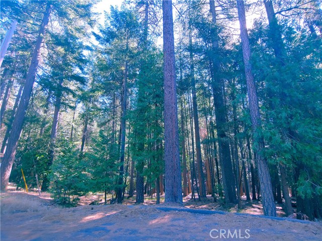 0 Tyler, Magalia, CA, 95954 0 Tyler, Magalia, CA, 95954