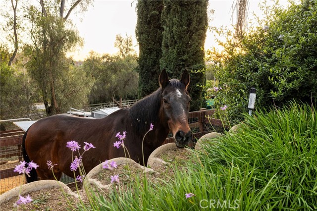 Detail Gallery Image 29 of 35 For 24972 Buckboard, Laguna Hills,  CA 92653 - 4 Beds | 3 Baths
