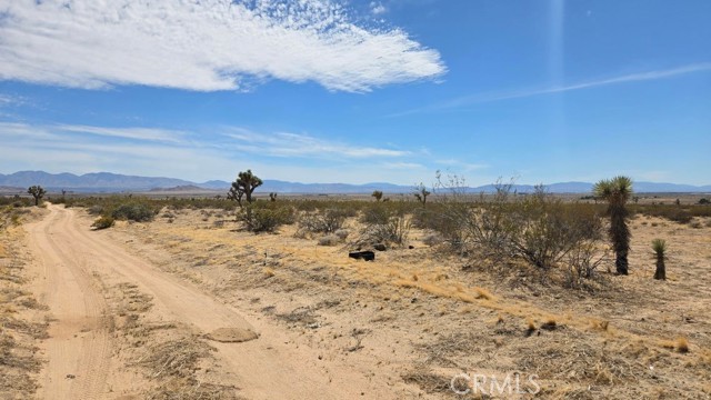 Image 7 of 21 For 0 147th St E Vicinity Capleton D