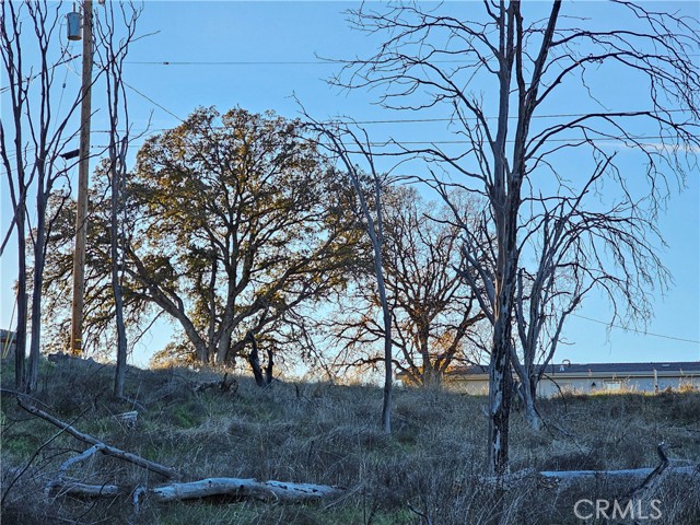 Detail Gallery Image 17 of 28 For 17150 Deer Park, Lower Lake,  CA 95457 - – Beds | – Baths