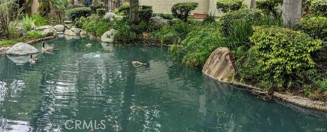 Detail Gallery Image 47 of 57 For 4900 E Chapman Ave #51,  Orange,  CA 92869 - 2 Beds | 2 Baths