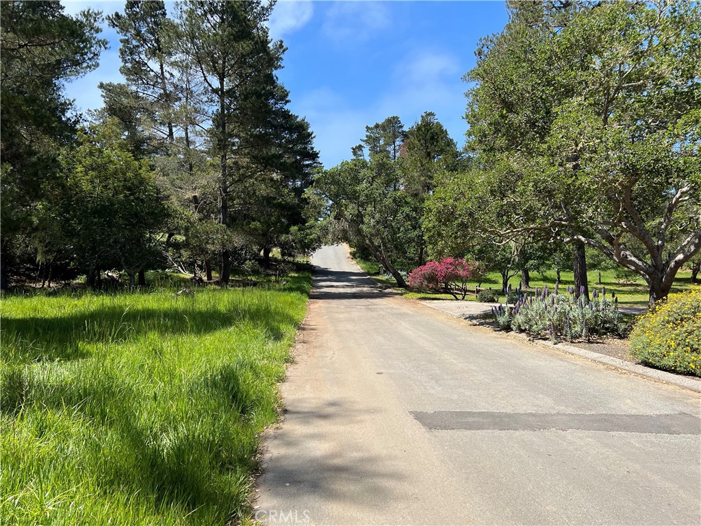 MLS #SC25087439 image #8