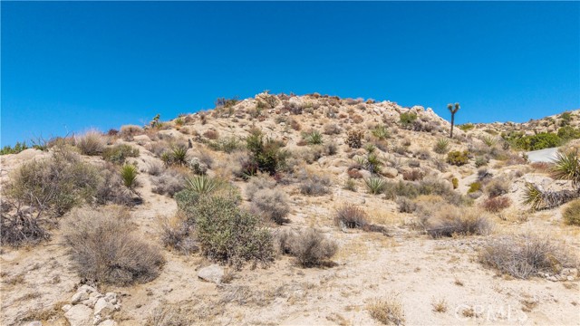 57006 Pinto Court, Yucca Valley CA: https://media.crmls.org/medias/f625a31e-97ff-4b40-8101-e3b5fa753631.jpg