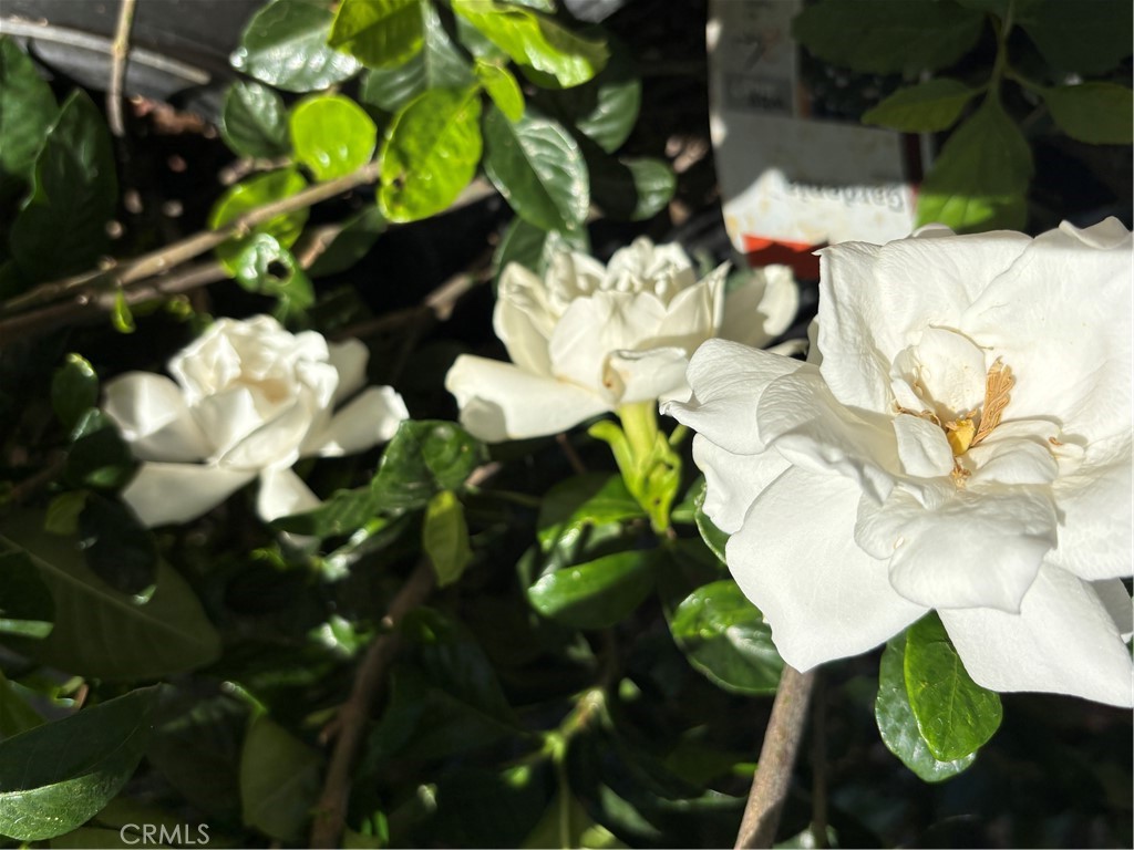 https://media.crmls.org/medias/f6283dee-7d94-4001-ac39-acbe2559f711.jpg?preset=X-Large