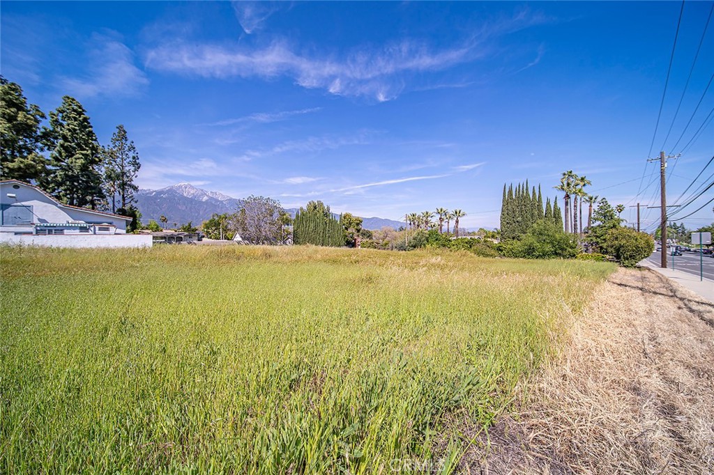 MLS #TR25047620 img 4