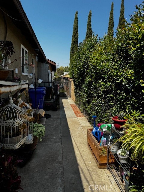 Walkway back to house