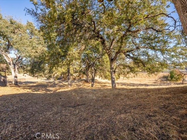 Detail Gallery Image 28 of 29 For 260 Sparrow, Red Bluff,  CA 96080 - 3 Beds | 2 Baths