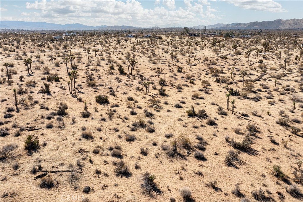 MLS #JT25097293 image #15