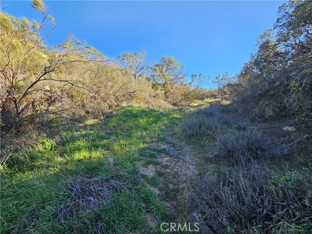 Detail Gallery Image 13 of 36 For 806 Deer Creek, Aguanga,  CA 92536 - – Beds | – Baths