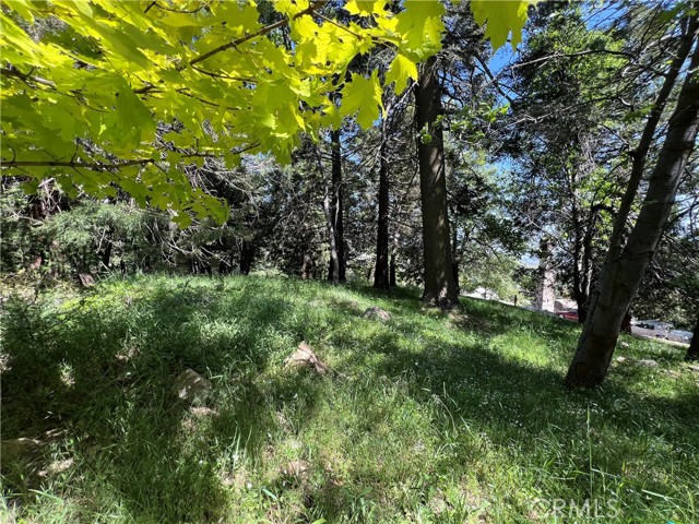 28879 Sycamore Drive, Lake Arrowhead CA: https://media.crmls.org/medias/f6397b86-0d41-4778-b34c-2bdc6ae7ed99.jpg