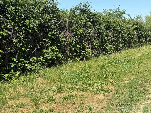 Detail Gallery Image 25 of 27 For 355 Obrien Ave, Gridley,  CA 95948 - 2 Beds | 1 Baths