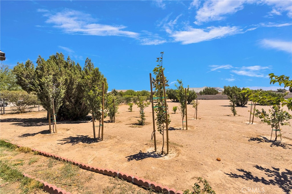 MLS #HD26148270 image #45