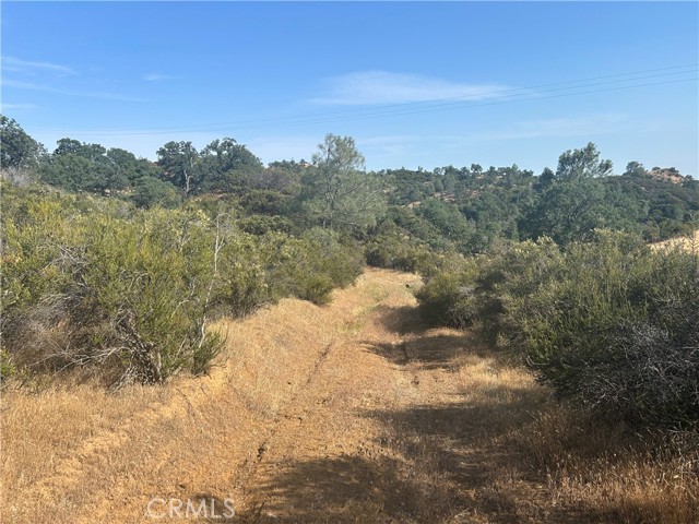 21947 Meriann Drive, Clearlake Oaks CA: https://media.crmls.org/medias/f648d3e3-ad54-4475-9ce0-a29bdafe0938.jpg
