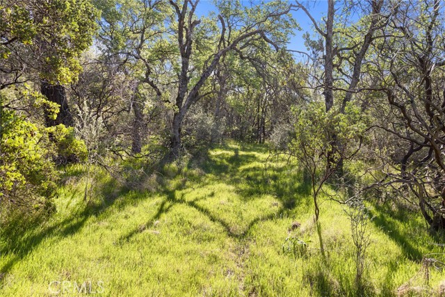 Detail Gallery Image 9 of 20 For 0 Louise, Oroville,  CA 95965 - – Beds | – Baths