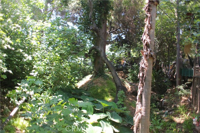 10799 Sherman Grove Avenue, Los Angeles CA: https://media.crmls.org/medias/f652992e-cd5e-423f-95f7-ee921052933f.jpg