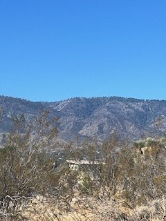0 Pine Tree Road, Pinon Hills CA: https://media.crmls.org/medias/f652c958-f6a5-41c7-93bd-7d5fd0f2f8e4.jpg