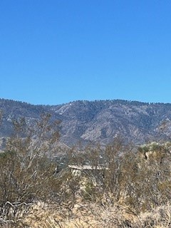 MLS #HD25127927 image #2