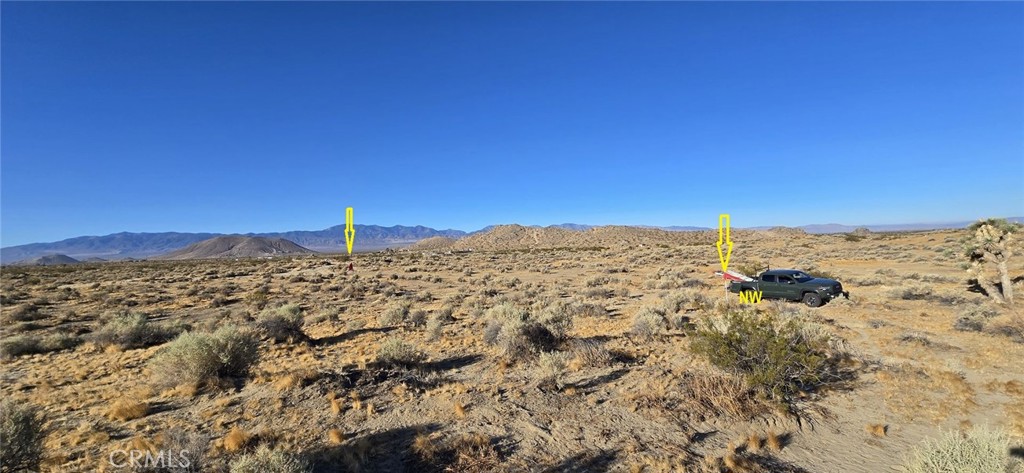 MLS #DW24154757 image #8