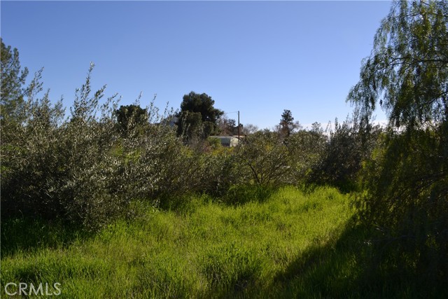 Image 15 of 38 For 29580 Patelli Way