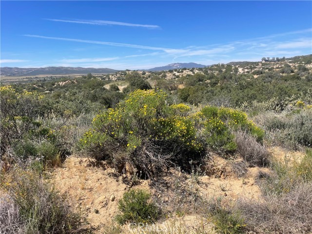 33 Sweetbush, Anza CA: https://media.crmls.org/medias/f659920c-2bc2-4256-bf34-fc5bd74d472f.jpg