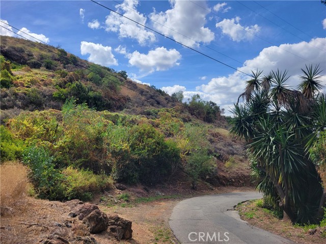 Front Image Thumbnail for CROC26085146