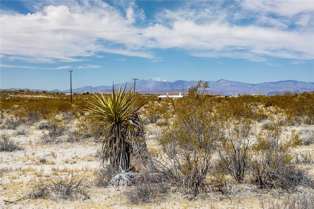 MLS #JT25110585 image #3
