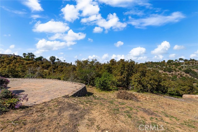 2465 Via Oeste Drive, Fallbrook CA: https://media.crmls.org/medias/f65cf159-a4fd-4b3f-9663-38c9ea81cebd.jpg