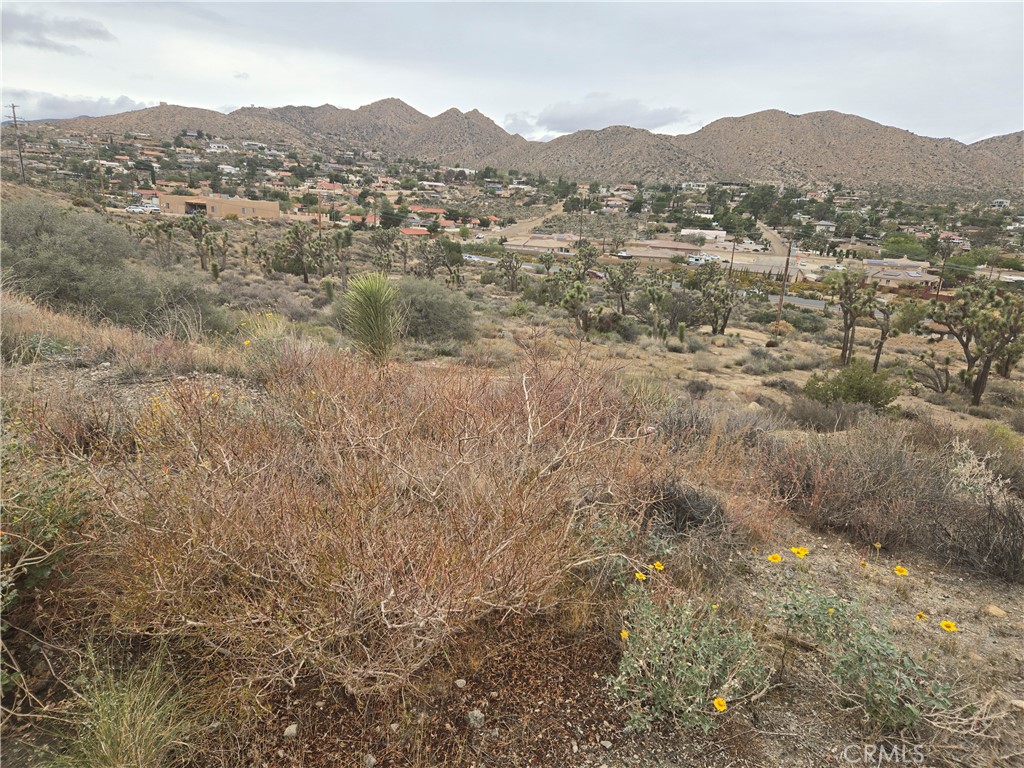 MLS #JT25260785 image #4