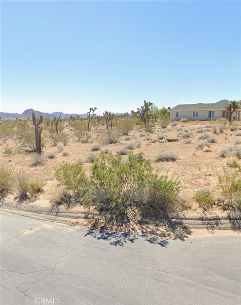 MLS #WS25024546 image #6