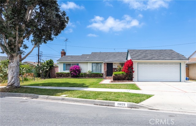 MLS# SB24116045