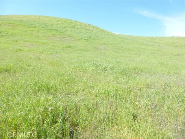 Detail Gallery Image 44 of 51 For 0 Douglas Rd. (Lot 33), San Miguel,  CA 93451 - – Beds | – Baths